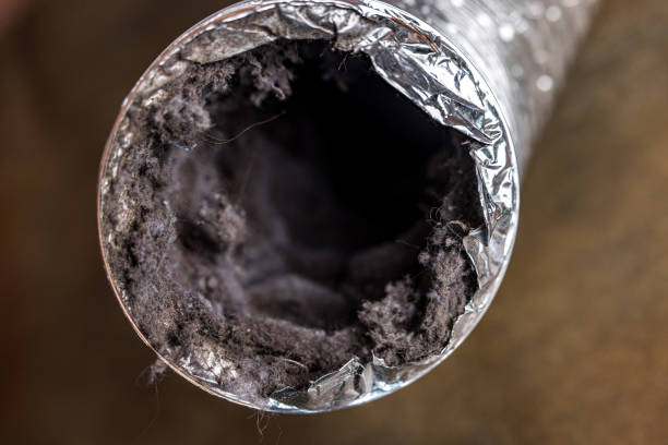 Best Local Air Duct Cleaning Services  in Parkville, MO